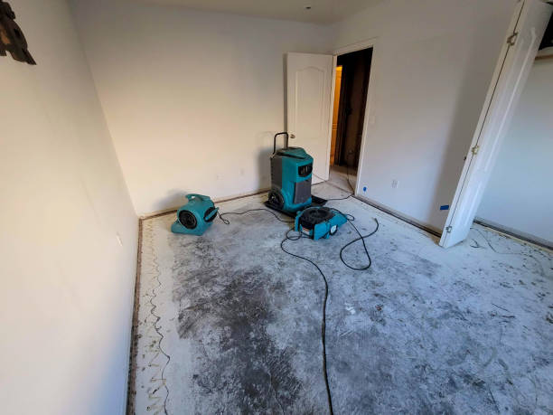 Best Local water damage restoration  in Bee Cave, TX