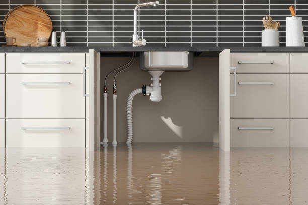 Best Carpet water damage restoration  in Bee Cave, TX