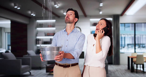 Best Mold removal after water damage  in Bee Cave, TX