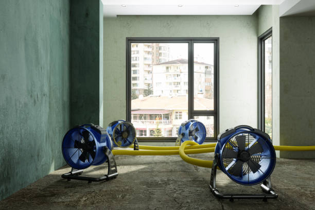 Best Water damage restoration mold remediation  in Bee Cave, TX